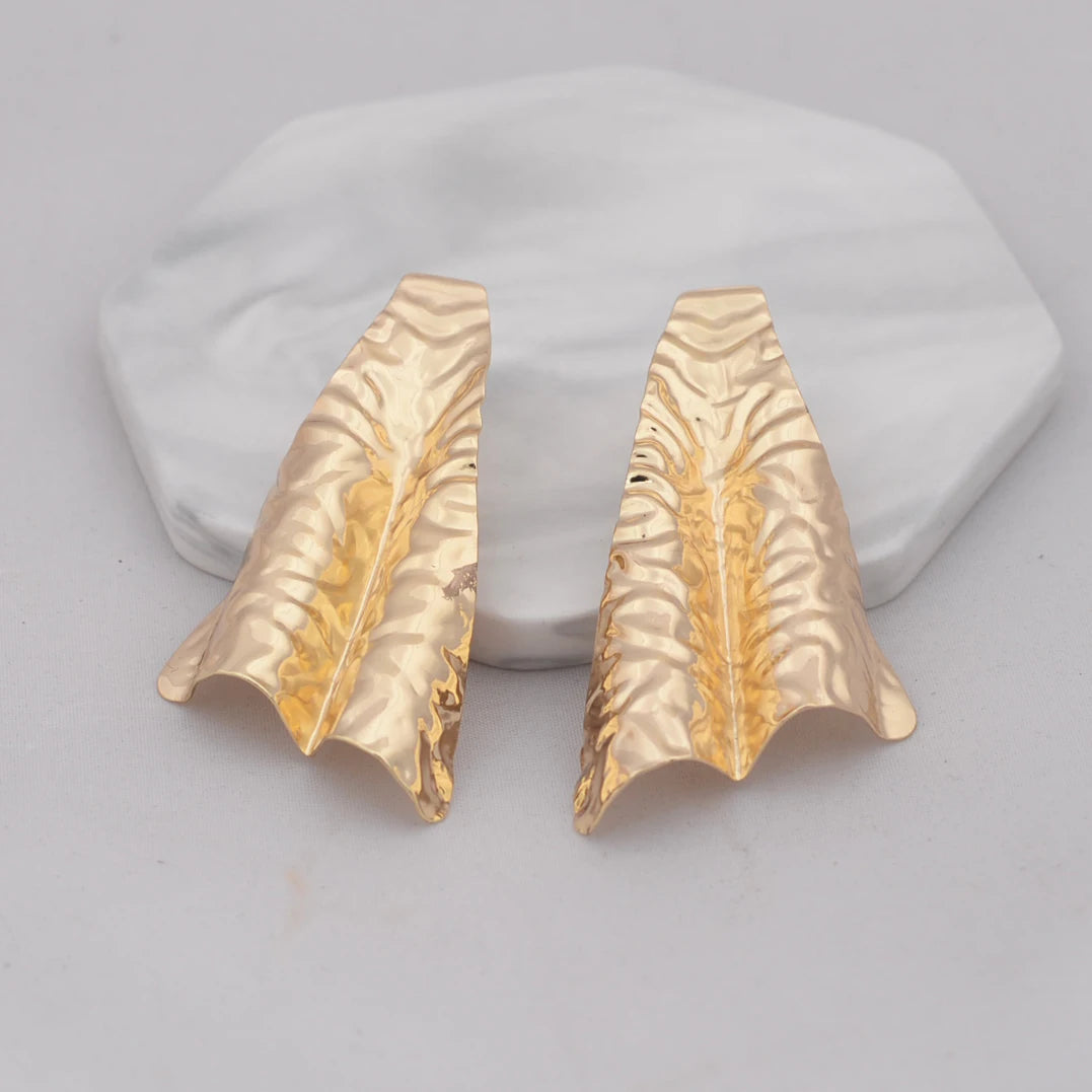 Big Fold Irregular Surface Earrings